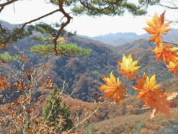 《原神》聚众游园点亮夏日灯火任务攻略